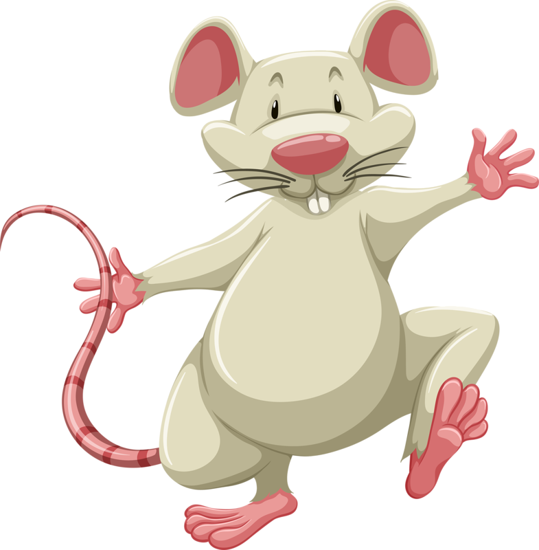 Image Du Blog Zezete2 - R Is For Rat (785x800)