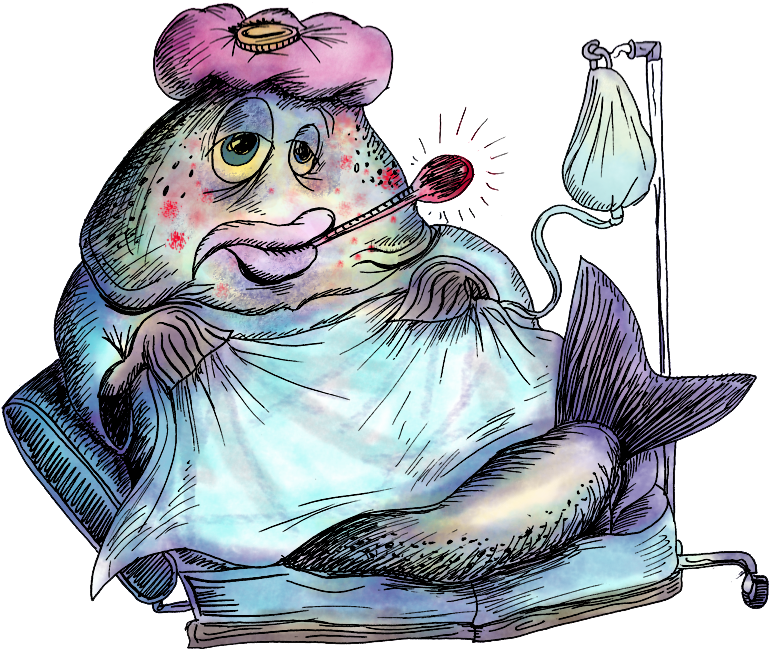 Sick Fish Color - Sick Fish Png (810x713)