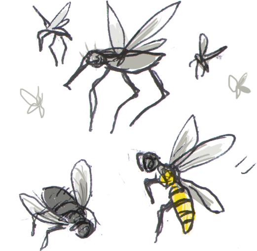 Piqûre D'insectes - Huiles Essentielles Anti Piqures D Insectes (578x590)