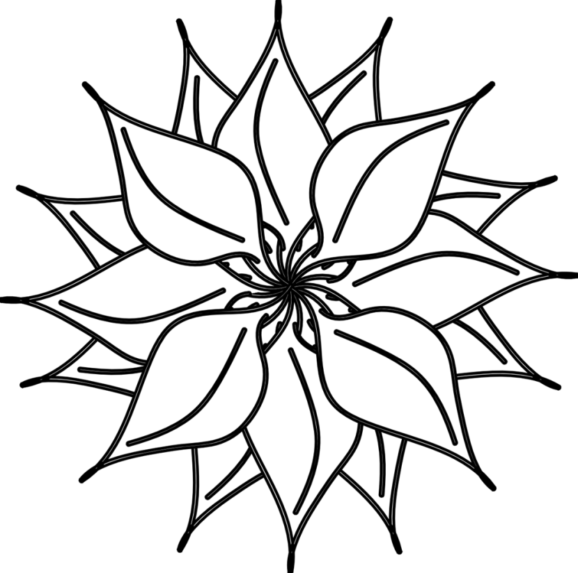 Flowers Arrangements Clipart Black And White - Black And White Flower (830x824)