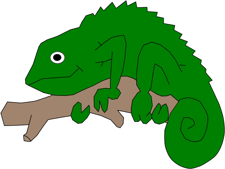 By J4p4n - Chameleons (800x575)