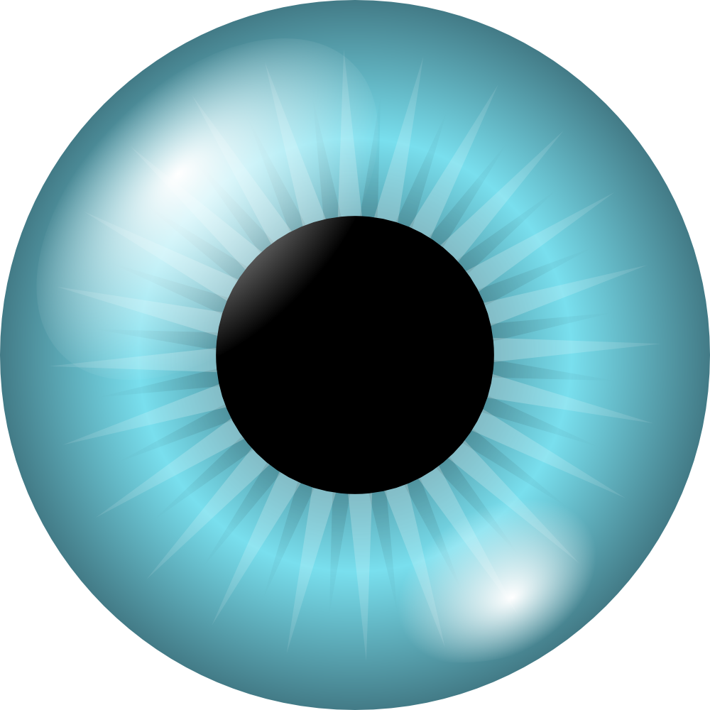 Iris Eye Clipart (1000x1000)