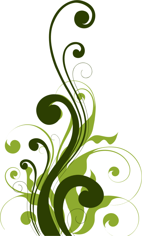 Medium Image - Flourish Flowers Png (480x795)