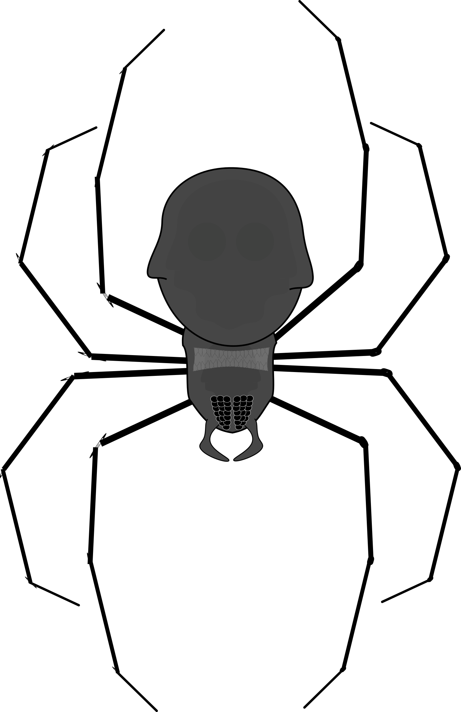 Big Image - Spider Clip Art (1556x2400)