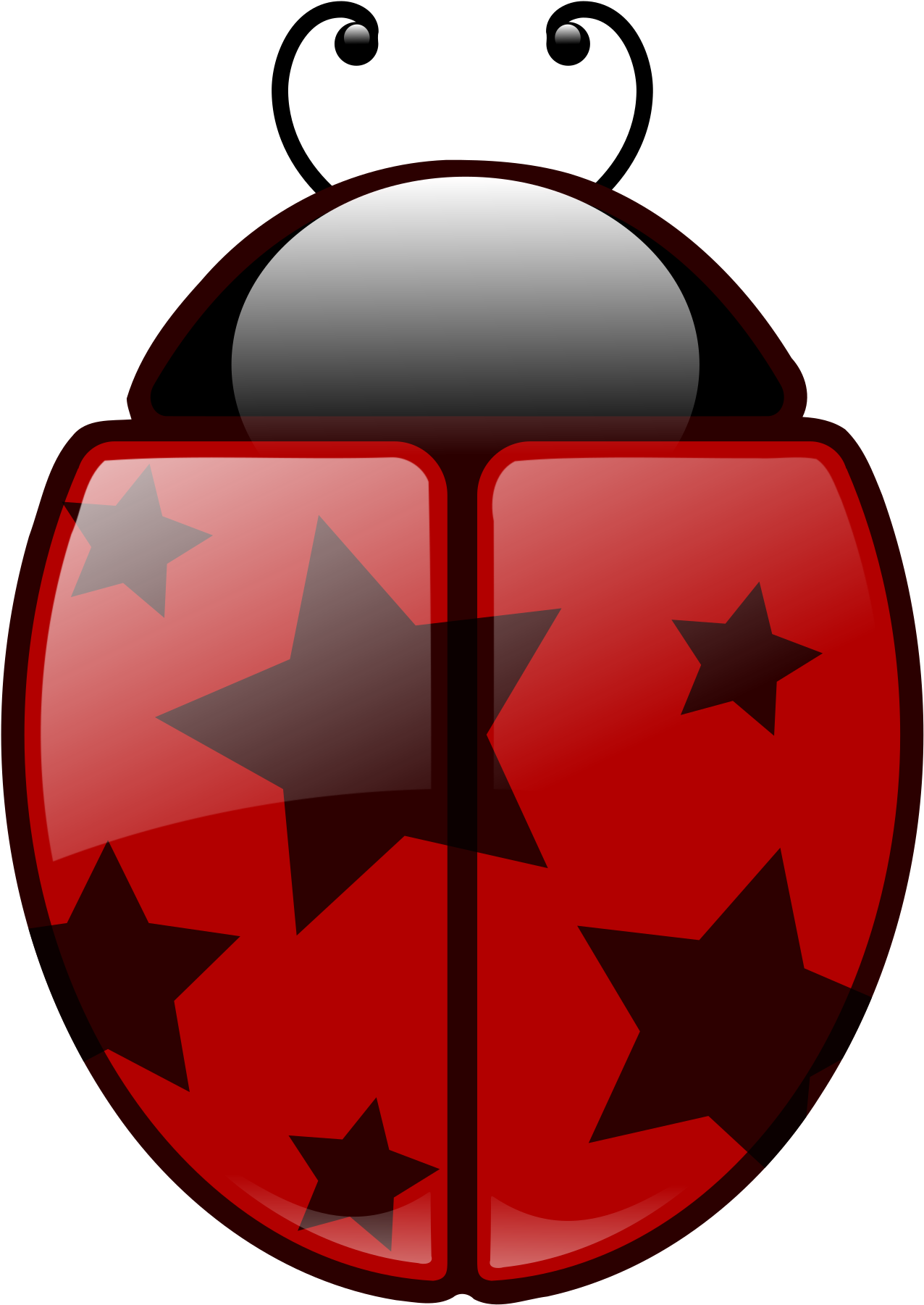 Big Image - Lady Bug (1697x2400)