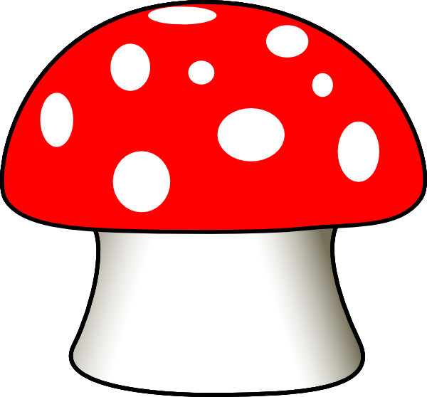 Mushroom Clipart - Bing Images - Cute Mushroom Clipart (600x558)