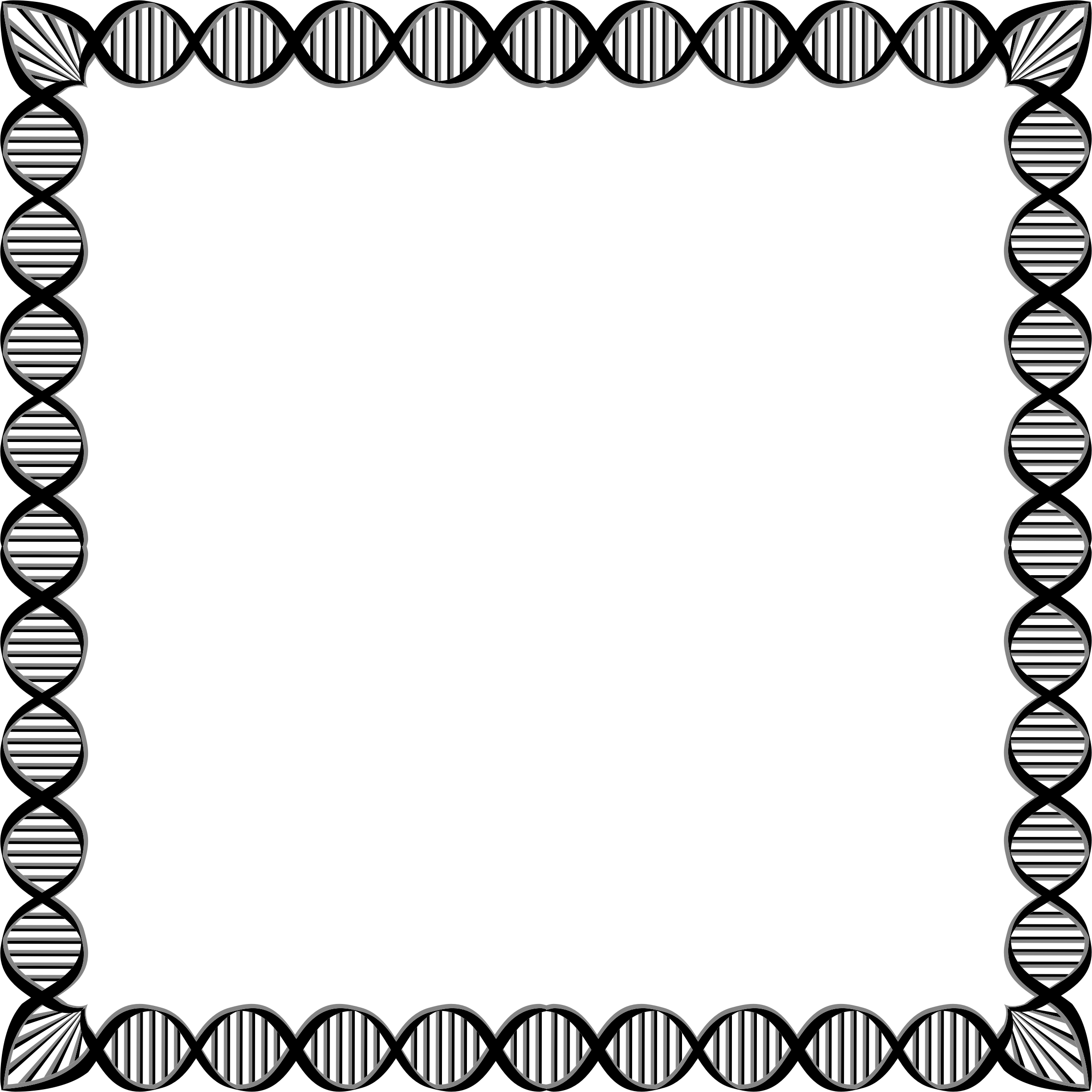 Dna - Biology Borders (2320x2320)