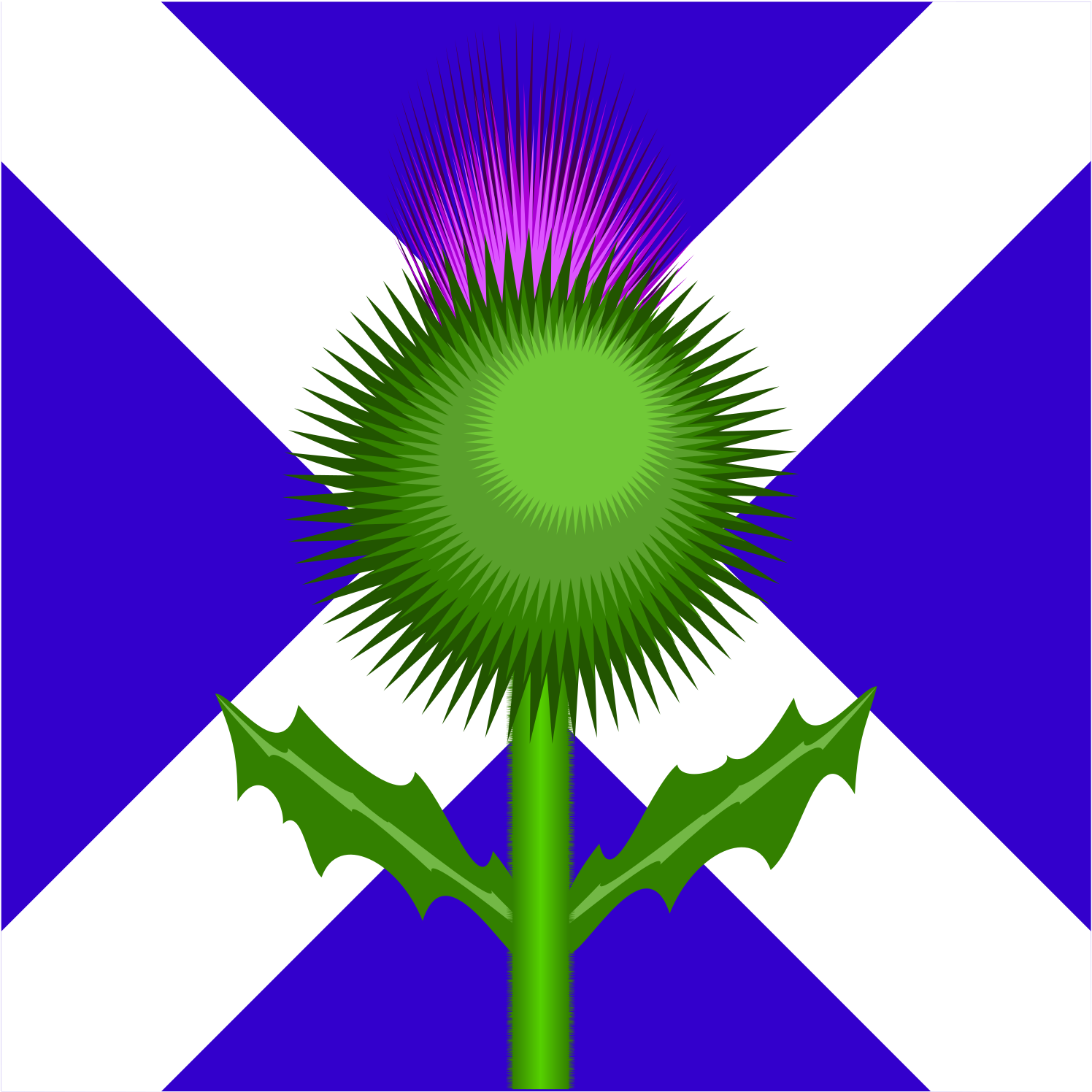 Scottish Thistle And Flag Clipart, Vector Clip Art - Scotland Flag And Thistle (1697x2400)