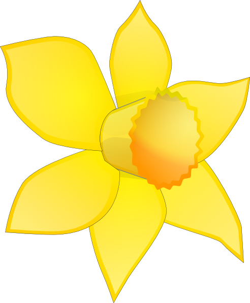 Daffodil Flower Clip Art - Daffodils Clip Art Free (492x597)