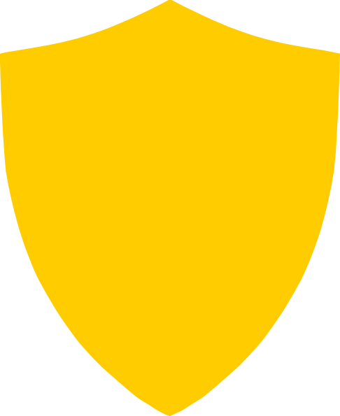 Gold Shield Icon Png (486x595)