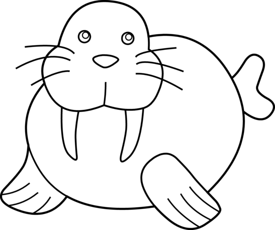 Walrus Clip Art - Tangent Of A Circle (550x460)
