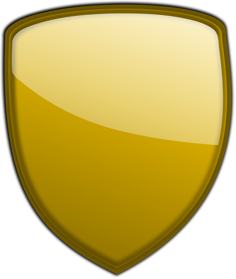 Gold Shield - Shield Png (762x900)