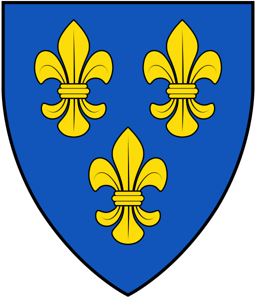 Fleur De Lis Shield Logo - 3 Fleur De Lis Coat Of Arms (512x596)