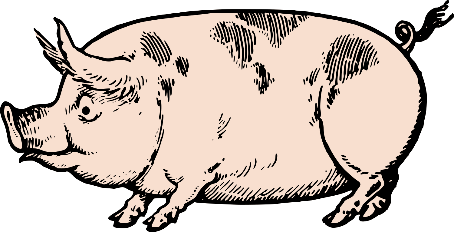 Cute Vintage Pig Clip Art & Stock Vector Oh So Nifty - Vintage Pig Clip Art (1500x766)