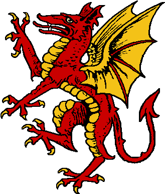 Dragon - Medieval Coat Of Arms Dragon (344x397)