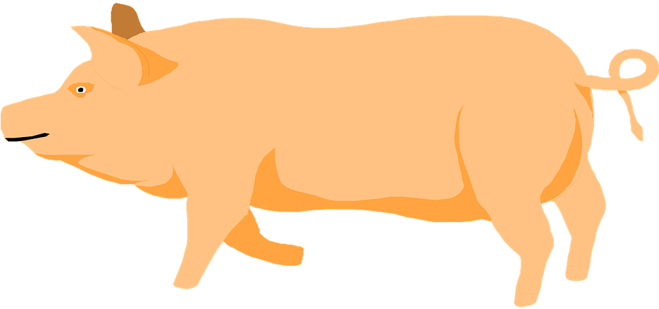 Barn Farm Pig Walking Animal Prancing - Pig Clipart Orange (960x480)