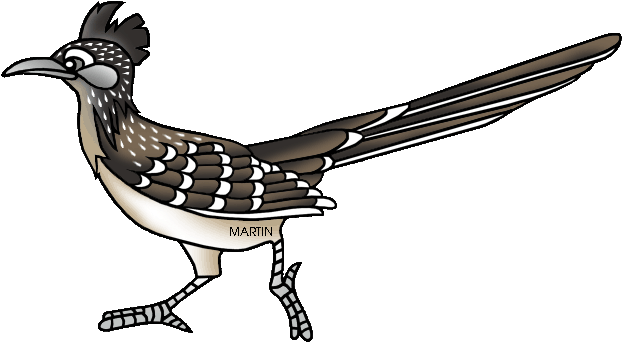 New Mexico State Bird Roadrunner - New Mexico State Bird (648x377)