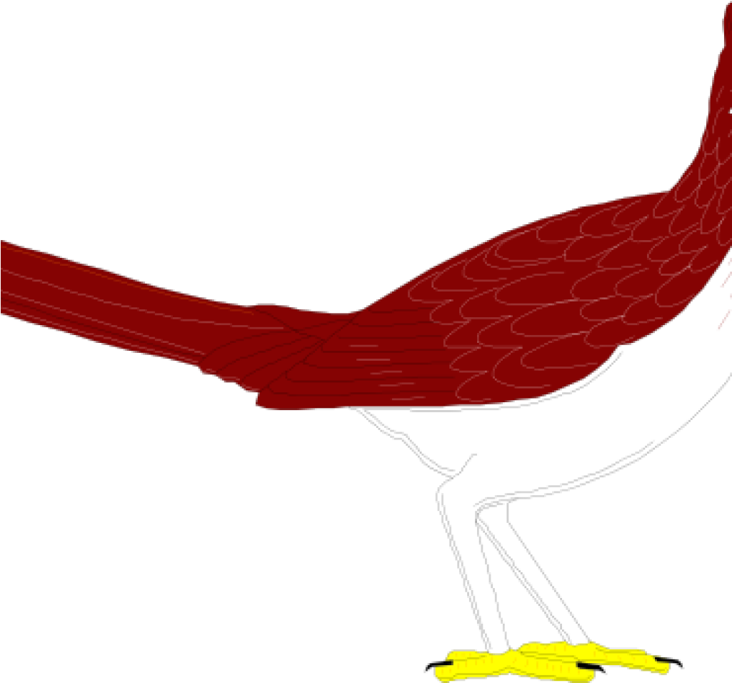 Roadrunner Clipart Roadrunner Clip Art At Clker Vector - Clip Art (1024x1024)