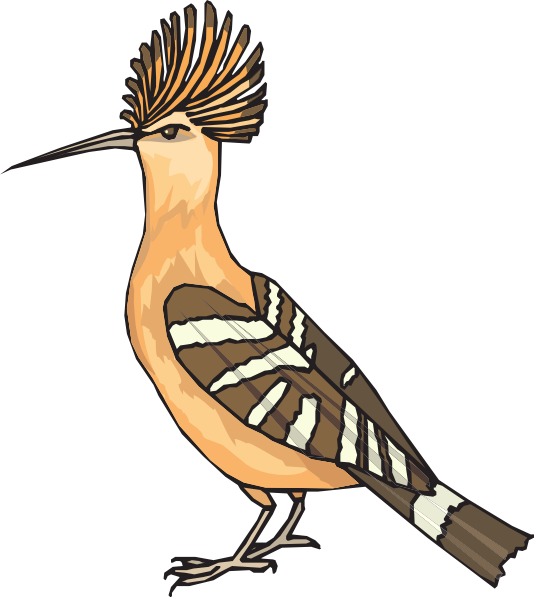 Hoopoe Clipart Png (534x597)