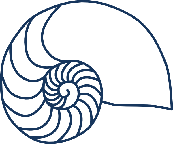Nautilus Navy Blue Clip Art At Clker - Nautilus Clip Art (600x498)