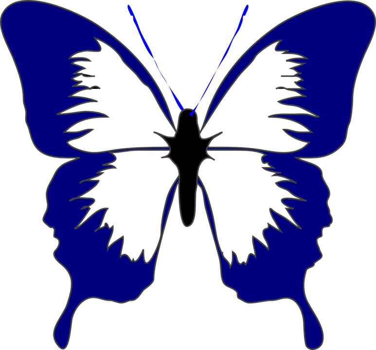 Butterfly, Insect, Spring, Navy Blue, Beautiful, Summer - Butterfly Black And White Clipart (773x720)