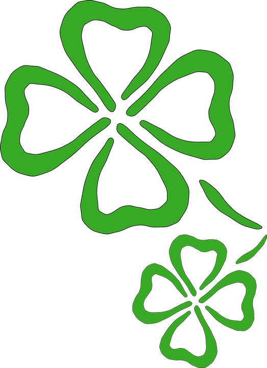 Four-leaf Clover Green Luck Shamrock Irish - Two Four Leaf Clovers (523x720)
