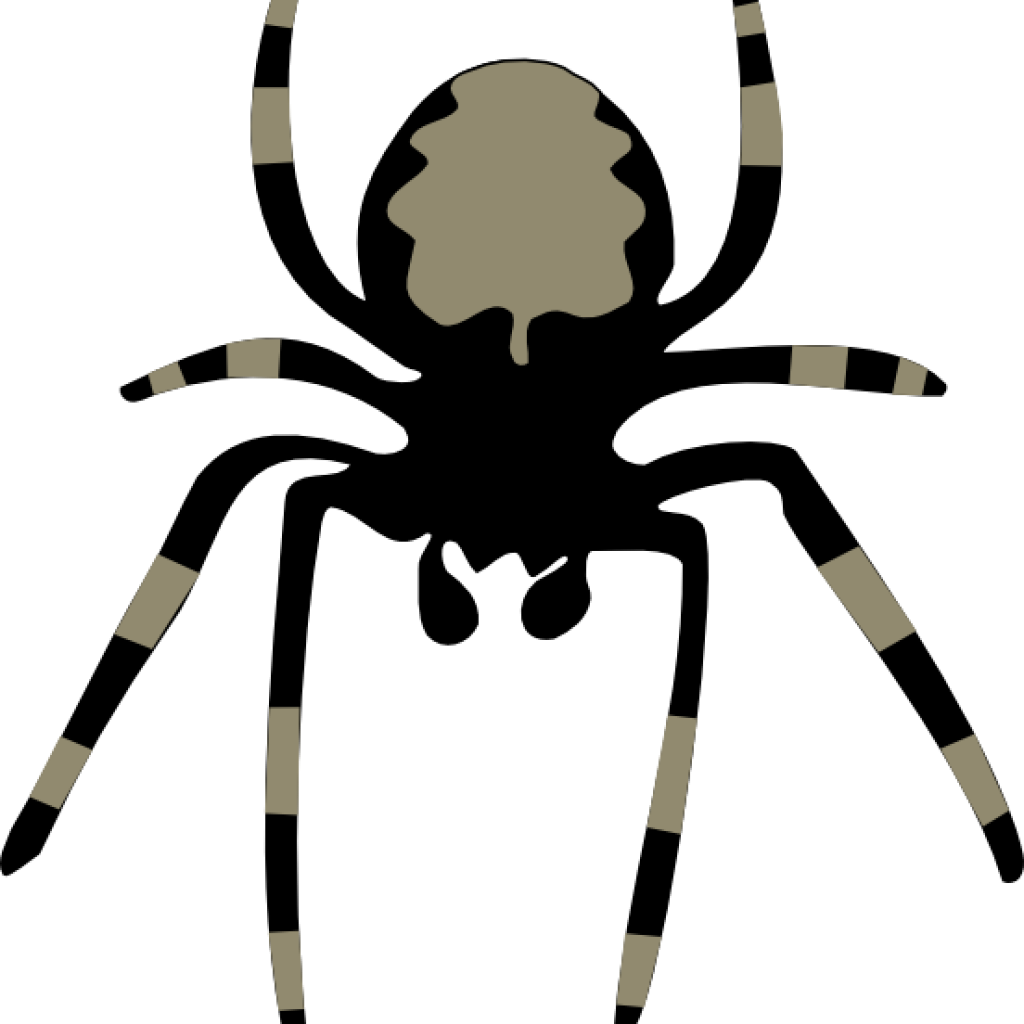 Spider Clipart Spider Clip Art At Clker Vector Clip - Clip Art Spider (1024x1024)