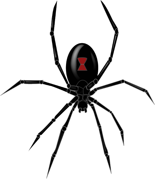 Black Widow Spider Clipart Png Image - Black Widow Spider Clipart Png Image (521x600)