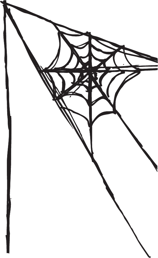 Spider Web Clipart Free Download Clip Art Free Clip - Spider Web Clipart Free Download Clip Art Free Clip (552x902)