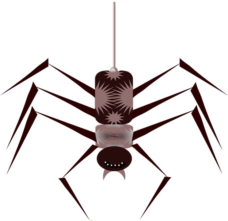 Spider Animated Gif Png (744x720)