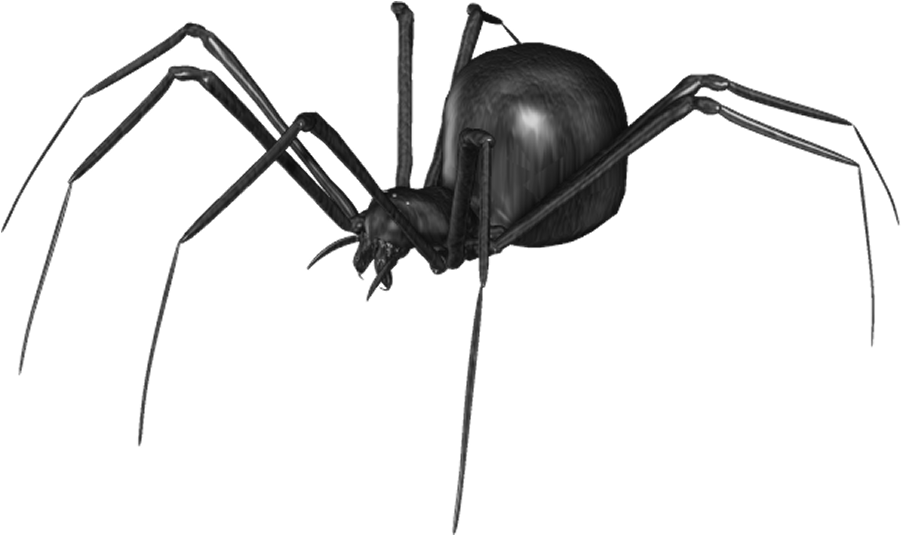 Spider Png Clip Art - Spider (922x548)