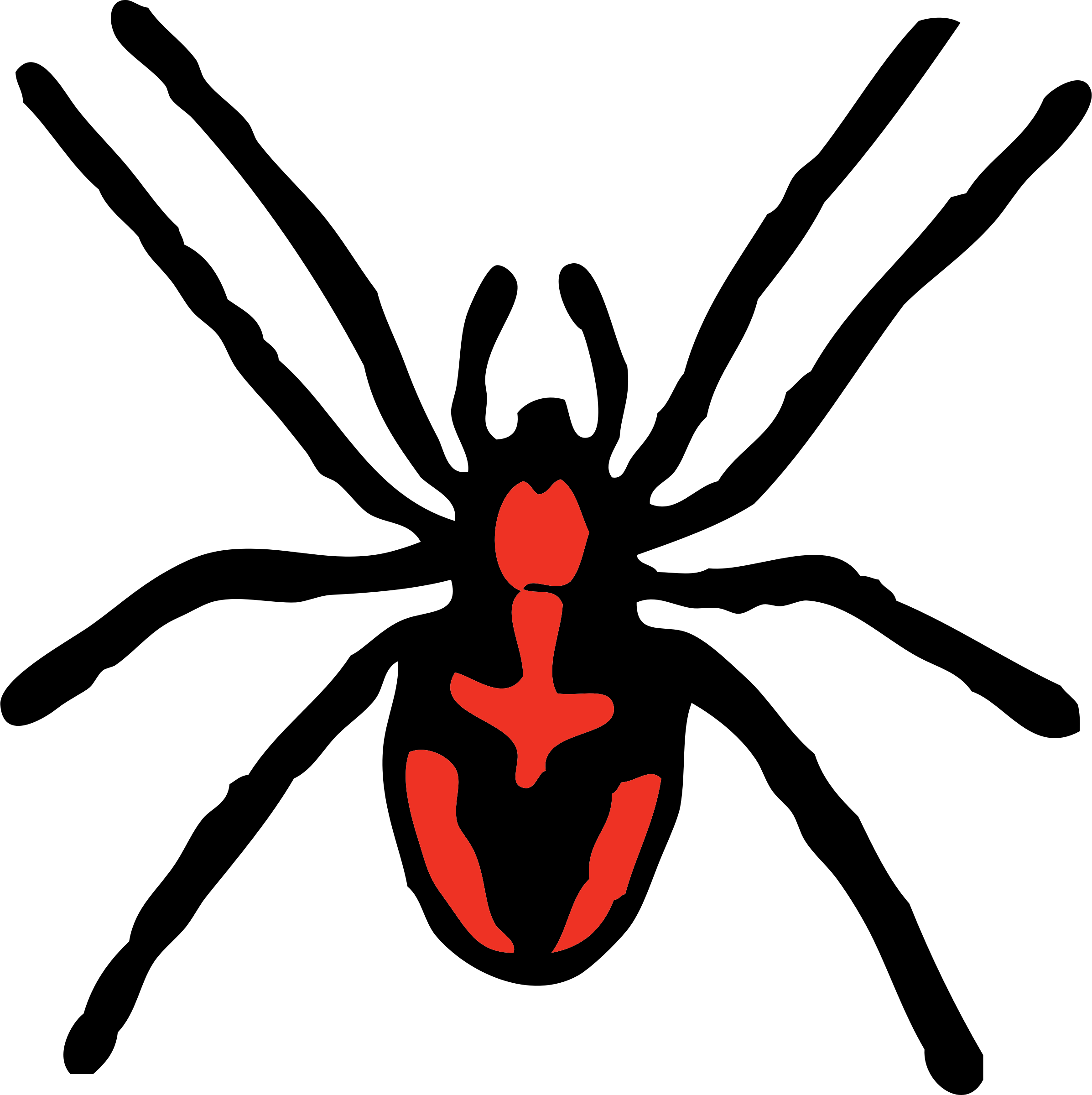 Spider Clip Free Download Clip Art Free Clip Art On - Spider Clipart (800x800)