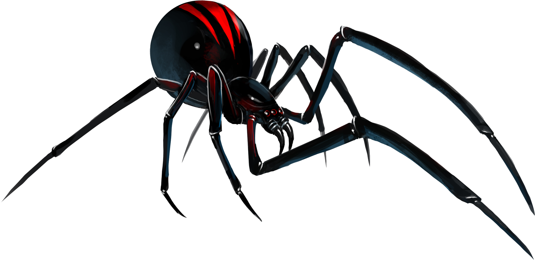 Black Widow Clipart Transparent - Black Widow Spider Clipart (2509x1258)