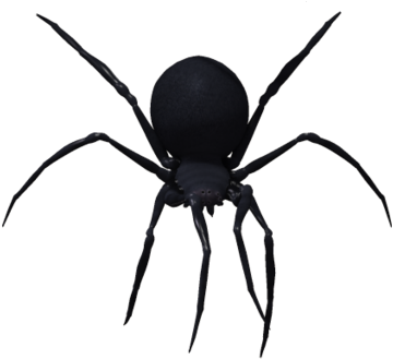 Transparent Black Widow Spider Clipart - Black Widow Spider Png (417x358)