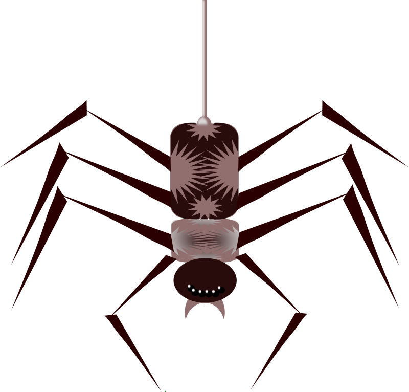 Spider Animated Gif Png (800x766)