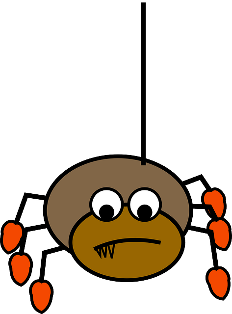 Animal Spider, Insect, Tarantula, Funny, Hanging, Animal - Araña Colgando Png (473x640)