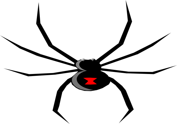 Graphics For Black Widow Spider Clip Art Graphics Www - Black Widow Spider Clipart (600x419)