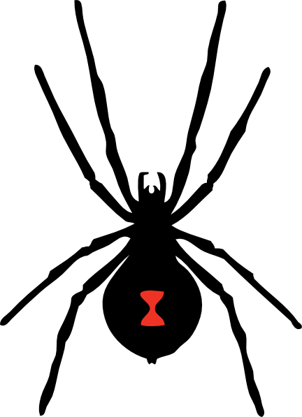 Black Widow Spider Embroidery (432x597)