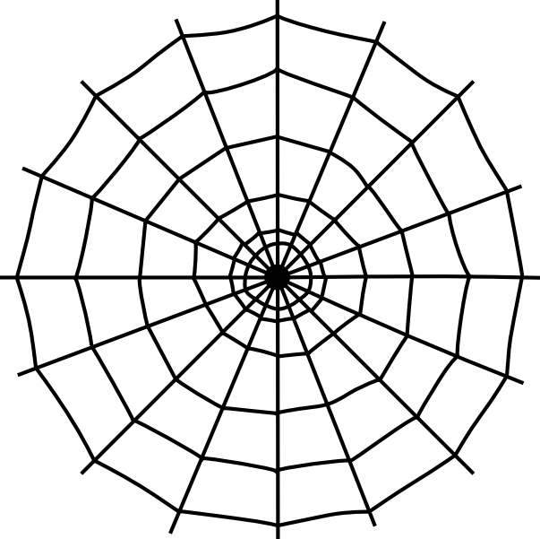 Spiderweb - Spider Web Black And White (603x601)