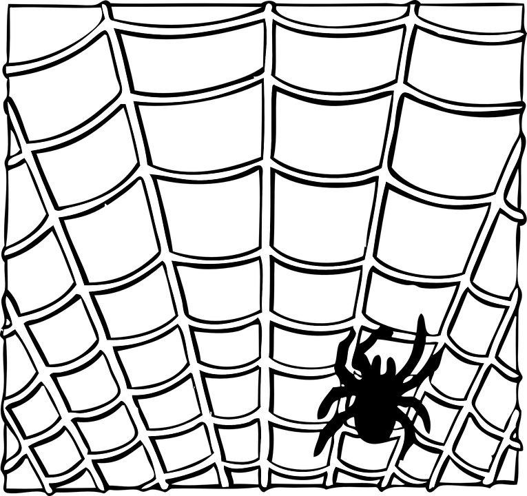 Spider Web Insect Animal Halloween Creepy Nature - Spiderman Webbing Black And White (765x720)