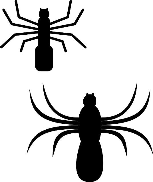 Spiders Silhouette, Cartoon, Bugs, Spider, Web, Insect, - Spiders Clip Art (536x640)