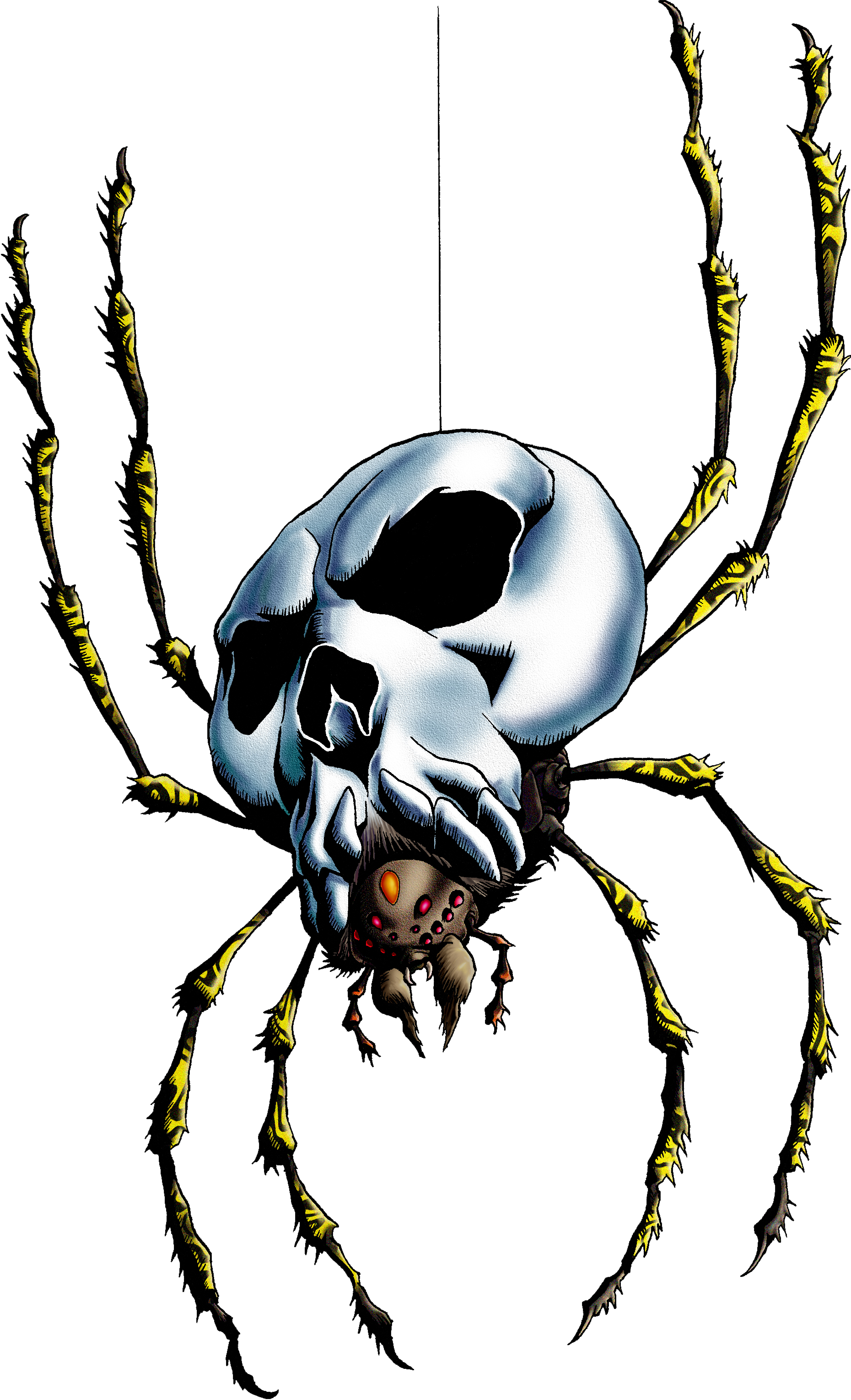Big Skulltula - Spider With Skull Back (1860x3061)