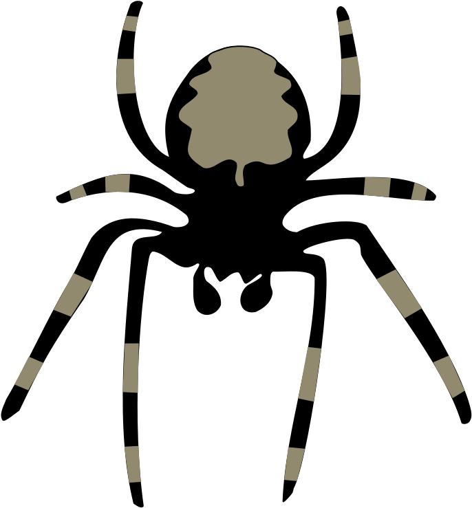Spider Free Vector - Clip Art Spider (724x800)