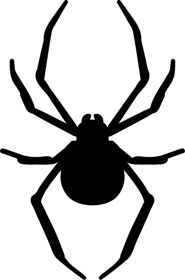 Spider Arthropod Animal Silhouette Comments - Woodburns Stencil Shop Spider Stencil Made From 4 Ply (650x981)