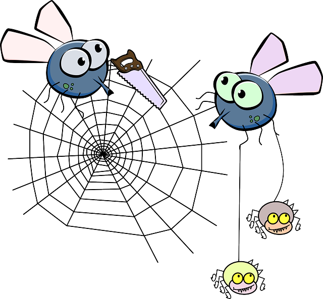 Mosquito, Spider, Insect, Spiderweb, Saw - Spider Web Clip Art (640x593)
