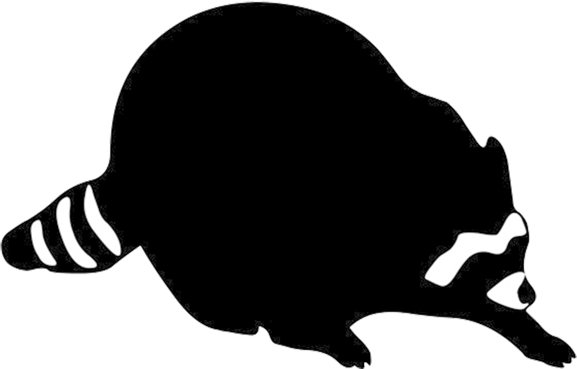 Raccoon Silhouette Clipart - Raccoon Silhouette Clip Art (1219x823)
