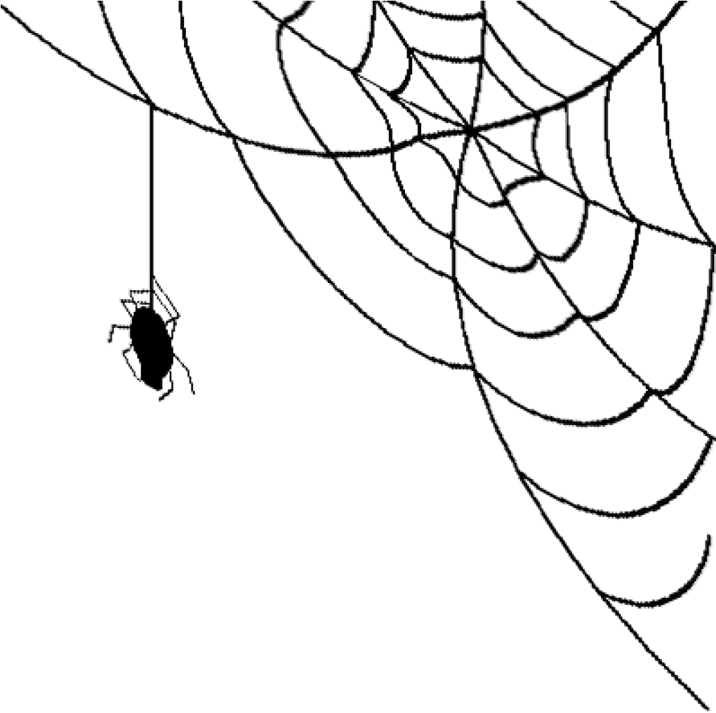 Permalink To Spider Web Png Bear Clipart - Spider On Web Png (1024x1024)