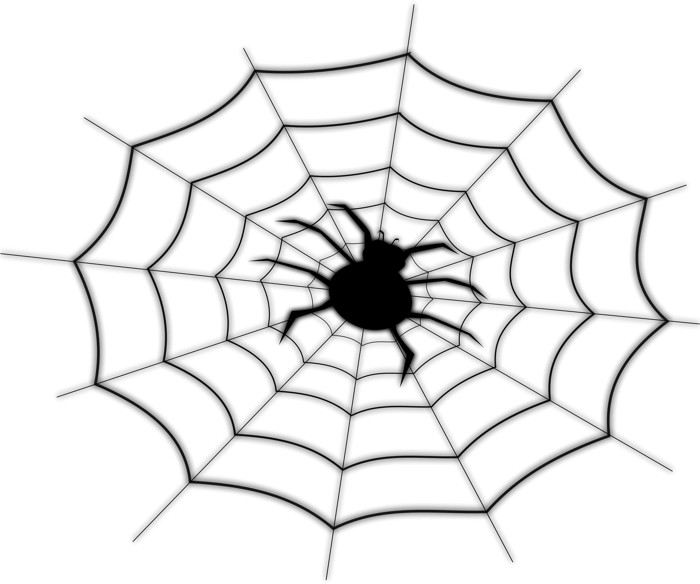 On Spider Net - Spider Web Shower Curtain (2400x2003)