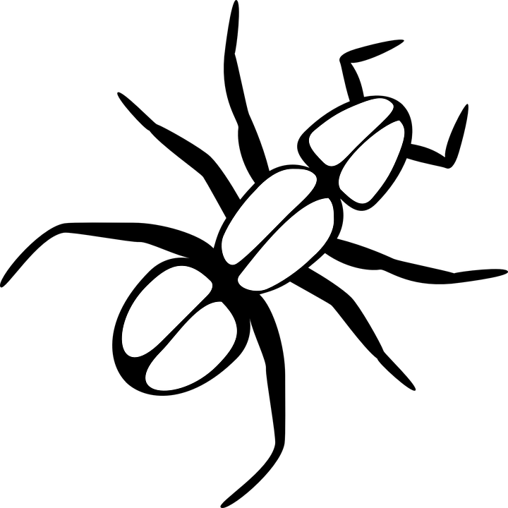 Ant Black And White Ant Free Illustrations On Pixabay - Outline Of A Bug (720x720)