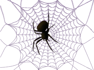 Web-021 - Spider Web Clip Art (400x300)